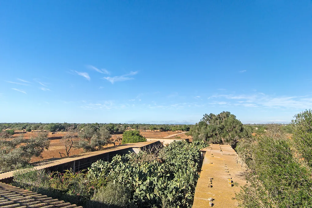 Rustic country house near Llucmajor-15