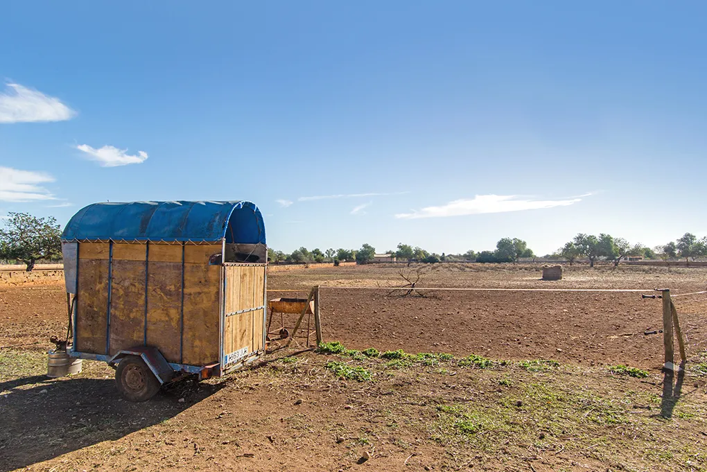 Rustic country house near Llucmajor-16