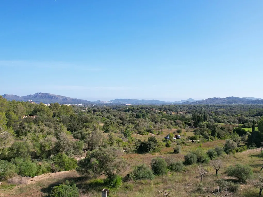 El diseño se une a la naturaleza en una ubicación privilegiada-11