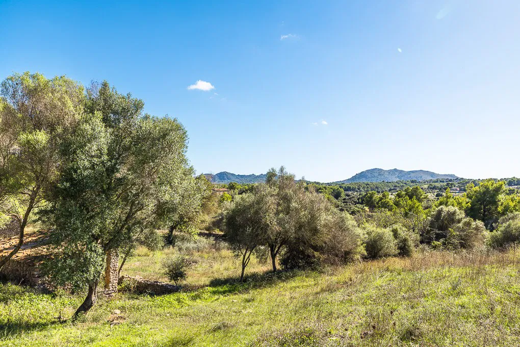 Tenuta Finca con diversi edifici vicino ad Artá-10