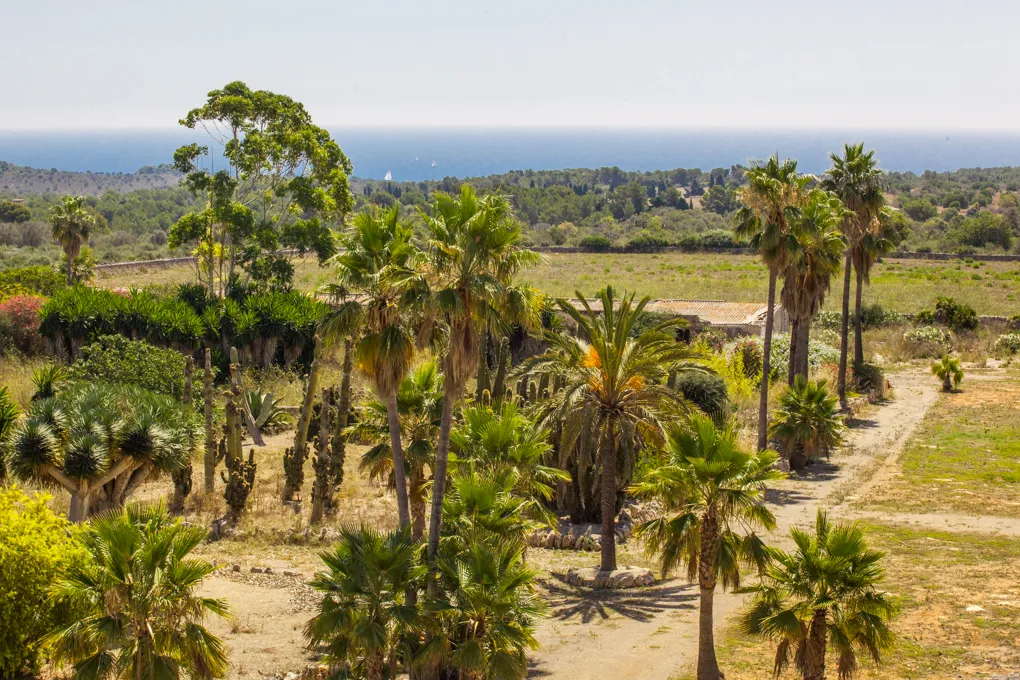 Finca senyorial amb vistes al mar en el club de golf prop de Mallorca-2