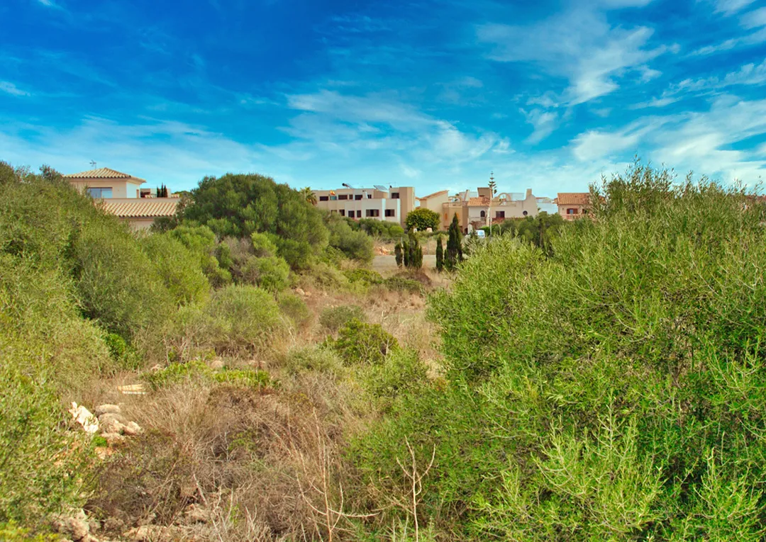 Plot with building project close to the sea-7