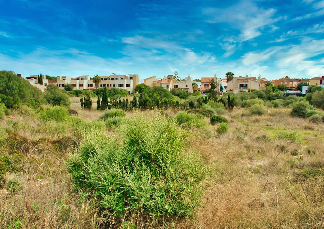 Plot with building project close to the sea-6