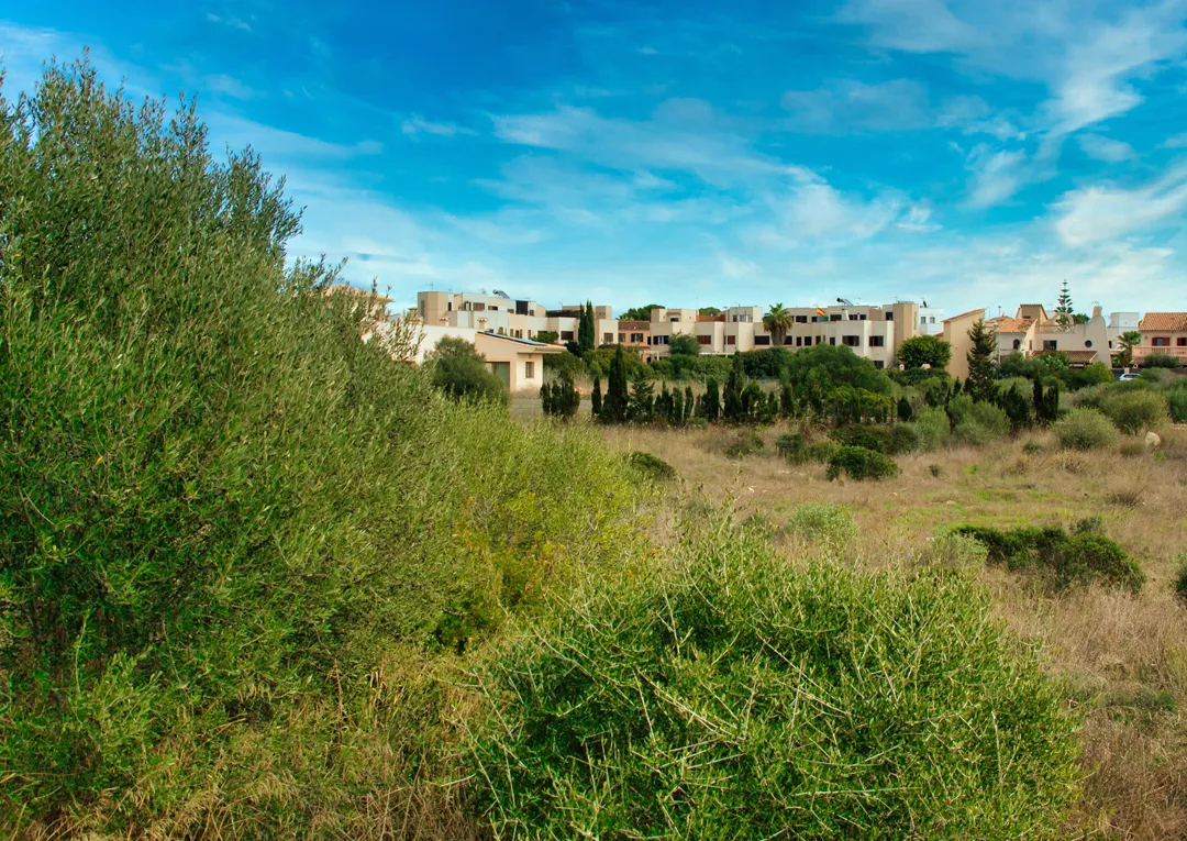 Plot with building project close to the sea-8