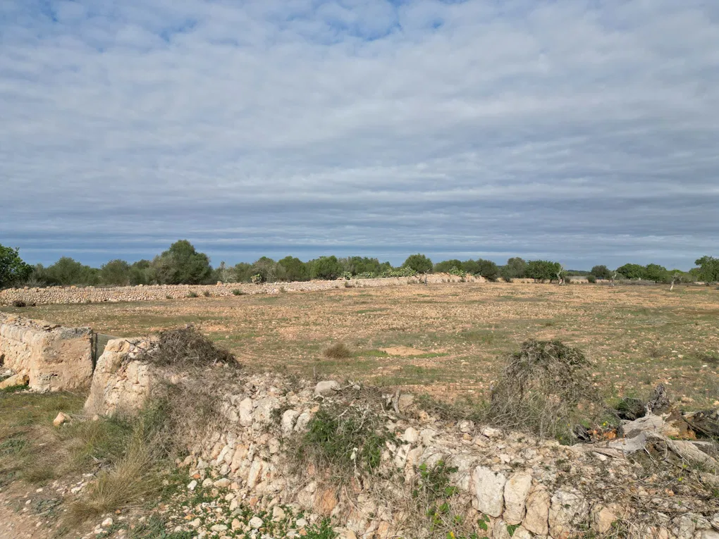 Terrain rustique avec projet et vue sur la montagne-1