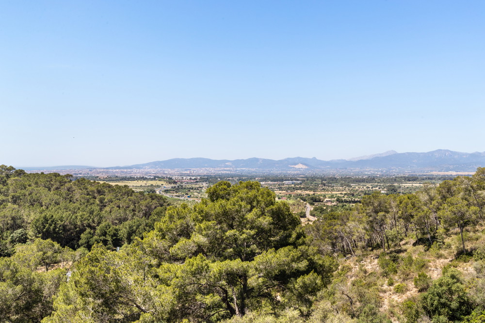 OFF-MARKET OPPORTUNITY | SET OF 4 COMMERCIAL PLOTS IN THE PALMA AREA-2