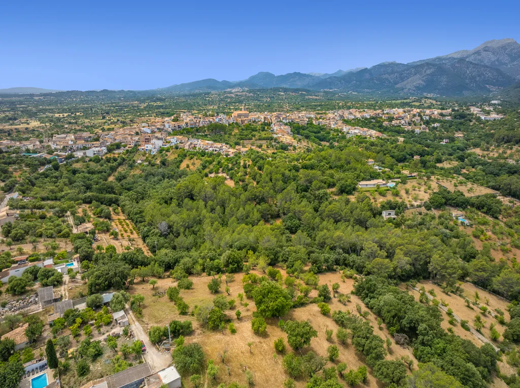 Excellent plot of rustic land with building licence-5