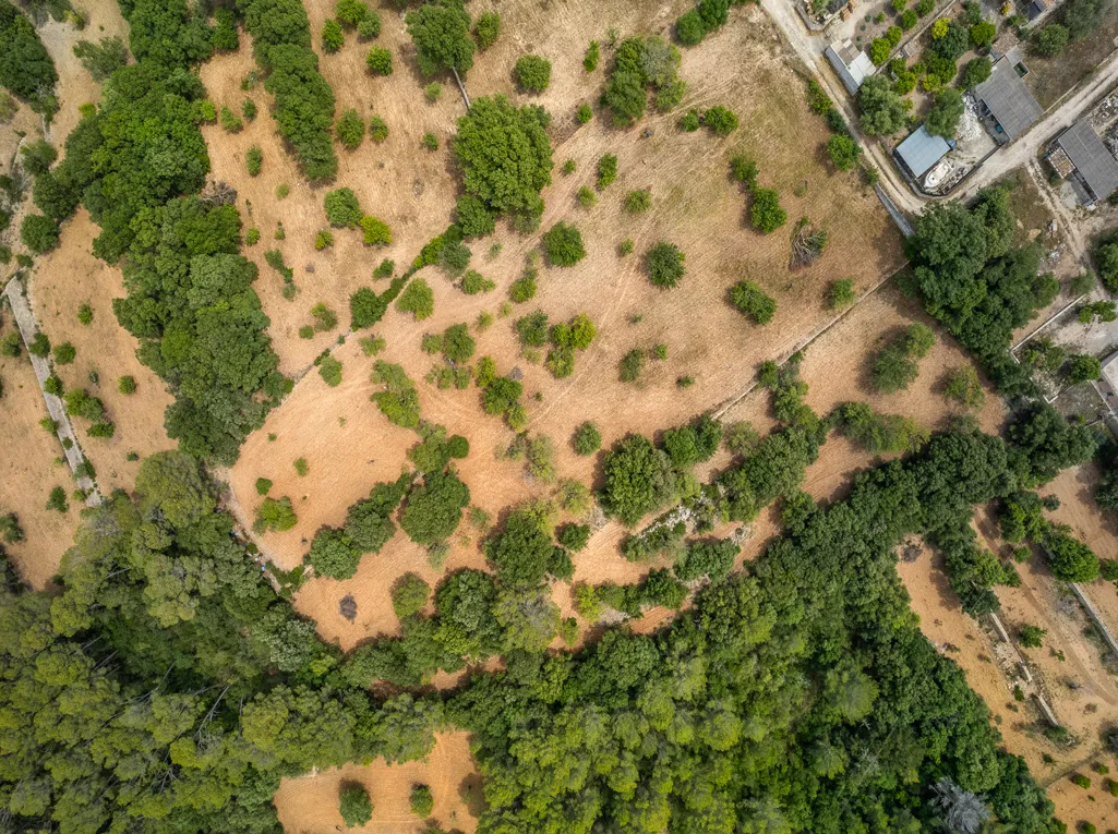 Excellent plot of rustic land with building licence-2