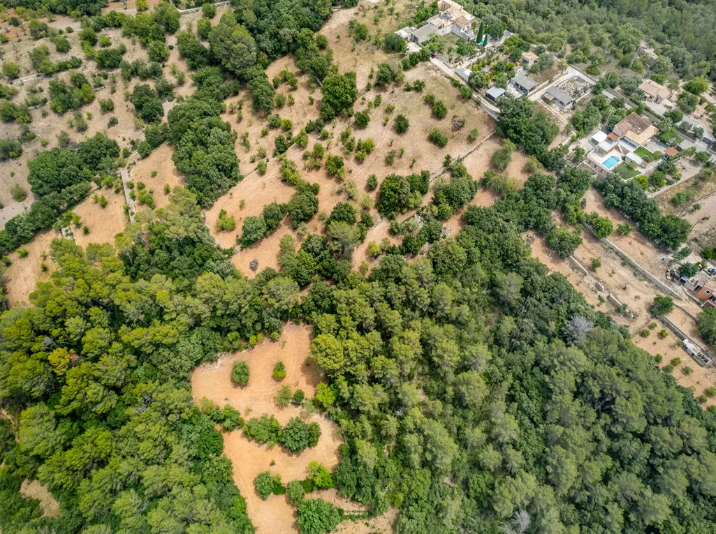 Excellent plot of rustic land with building licence-3