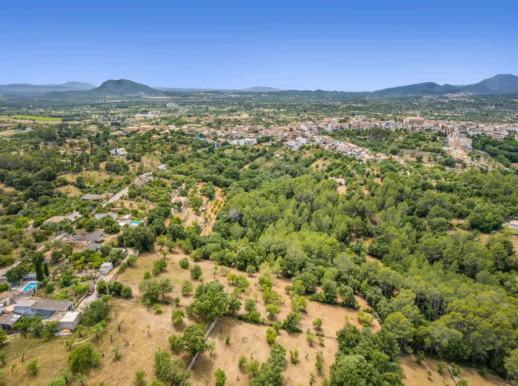 Excellent plot of rustic land with building licence-6