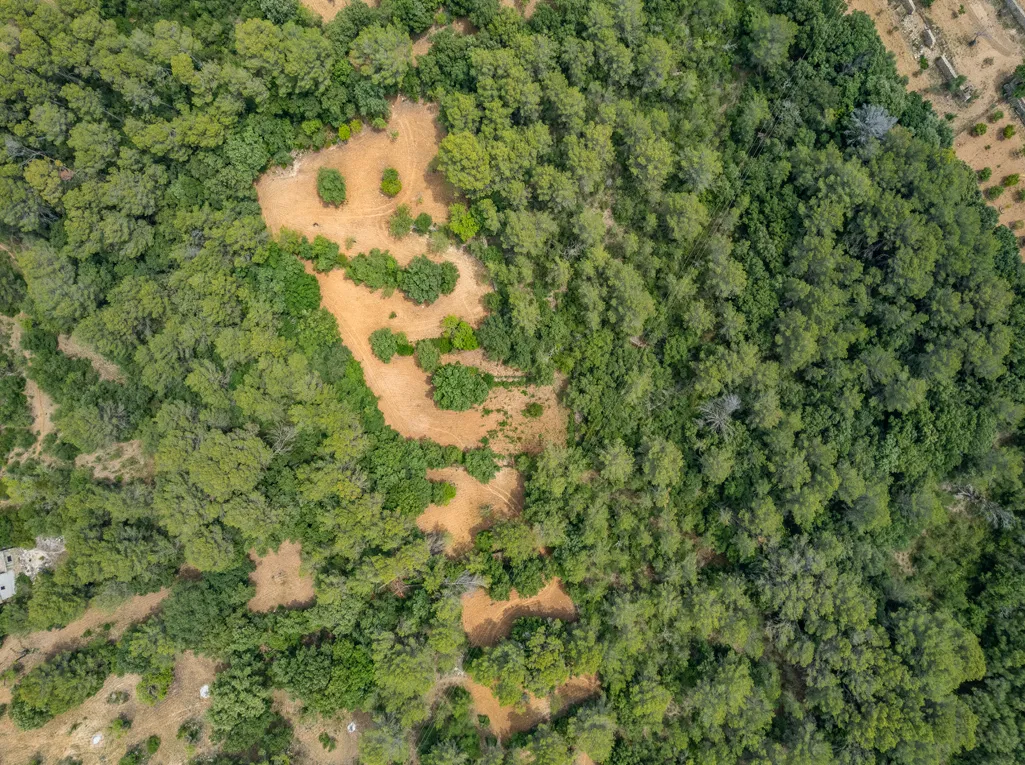 Excellent plot of rustic land with building licence-4