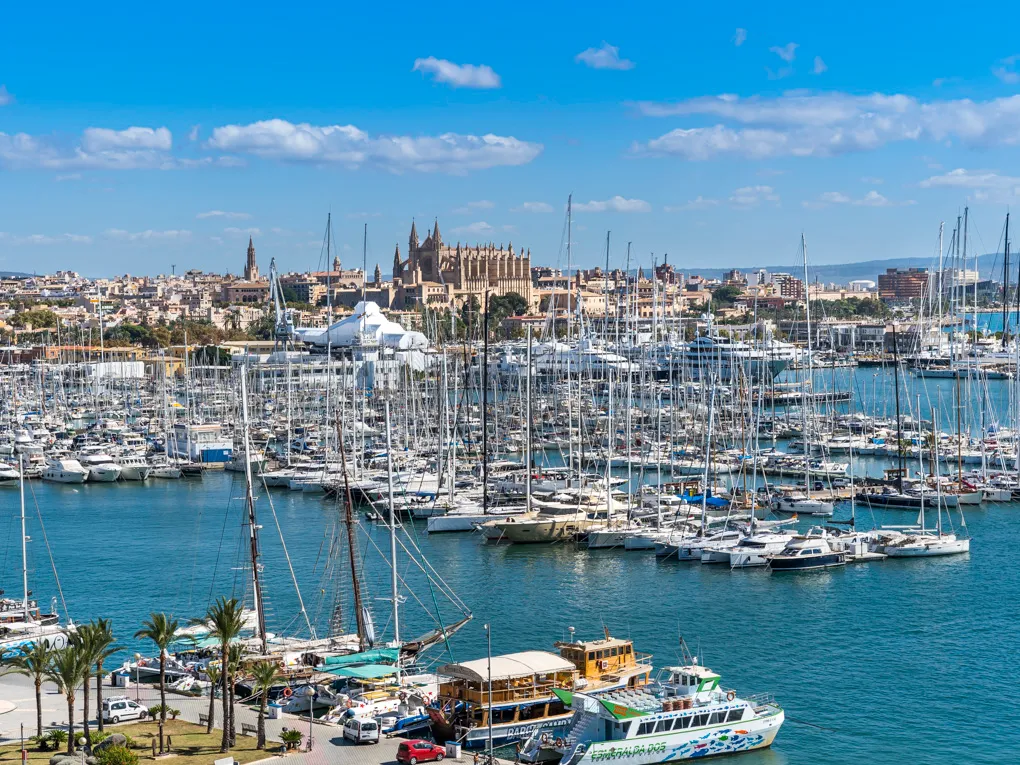 First sealine apartment on the Paseo Maritimo with views of the cathedral-10