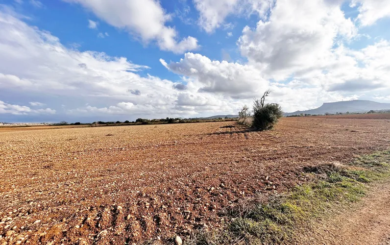 Duża działka budowlana z licencją w Algaida