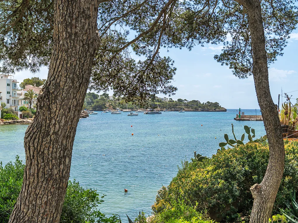 Interessant Projecte de Reforma en Primera Línia del Port-17