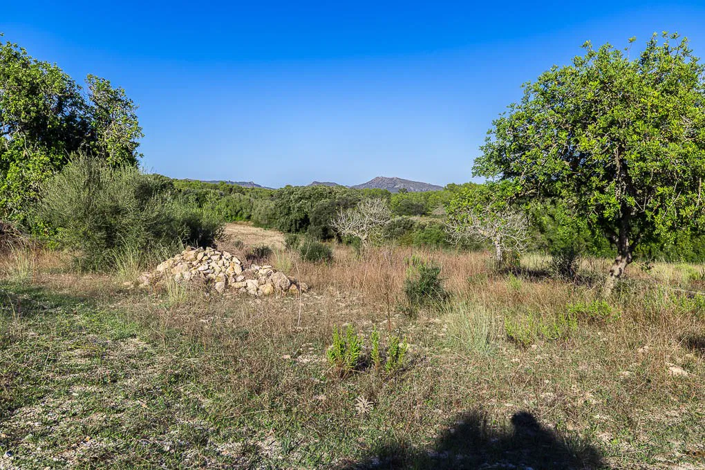 Finca Projekt - Architektur im Einklang mit der Natur-9