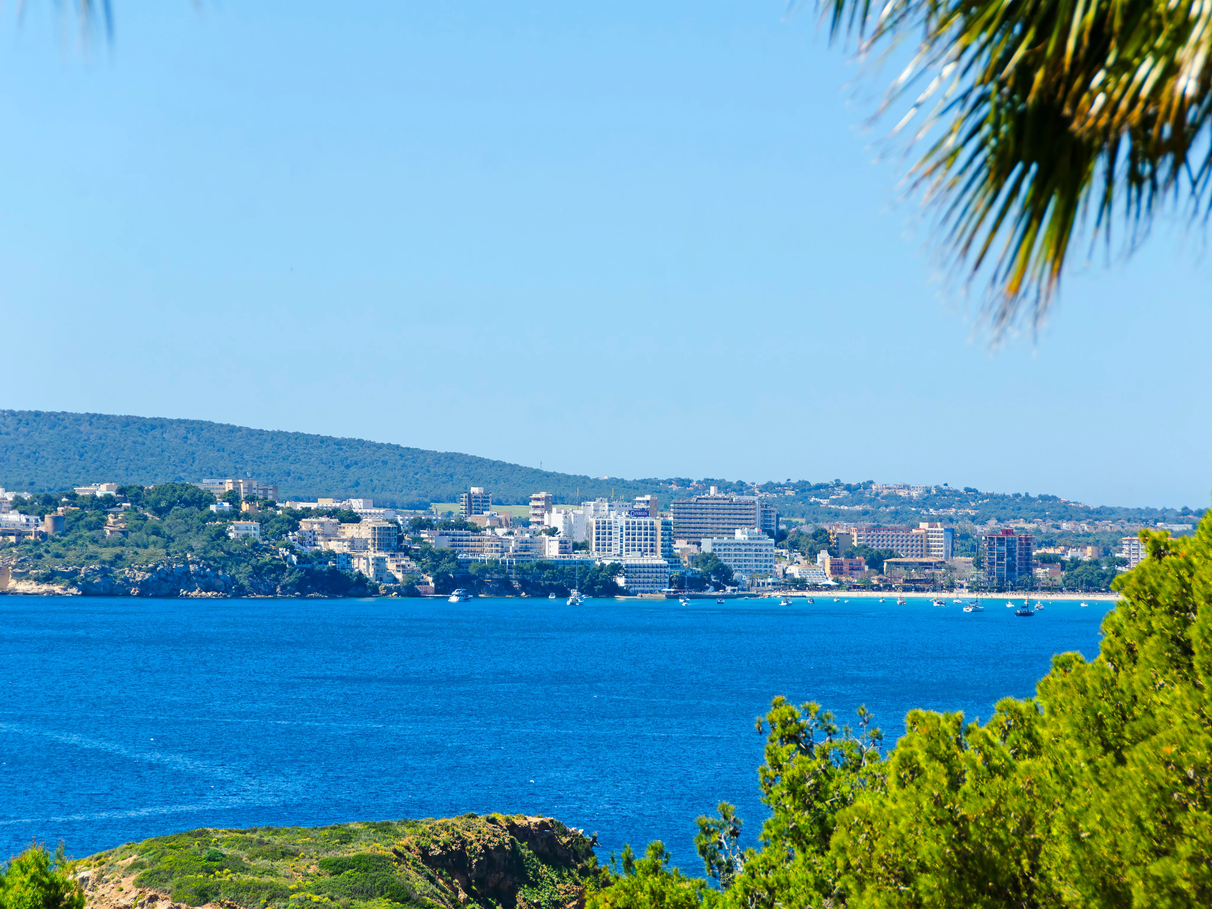 Exclusivité et tranquillité à Old Bendinat : une retraite luxueuse au bord de la Méditerranée-25
