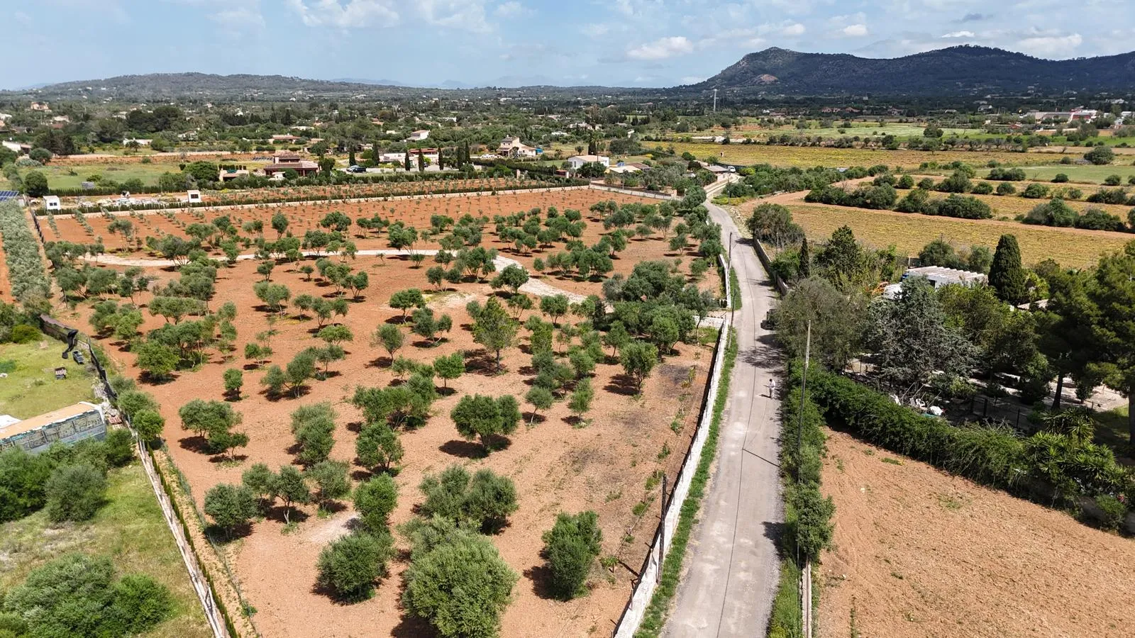 Building Plot in Llucmajor – Mediterranean Charm Meets Prime Location-1
