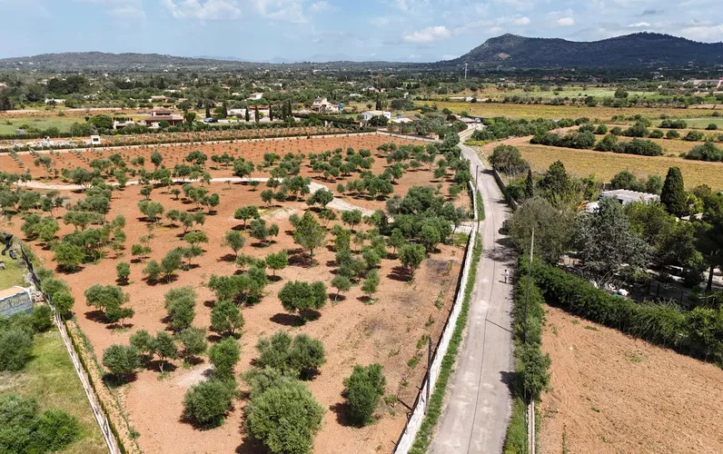 Terreno edificable en Llucmajor – El encanto mediterráneo se une a una ubicación privilegiada