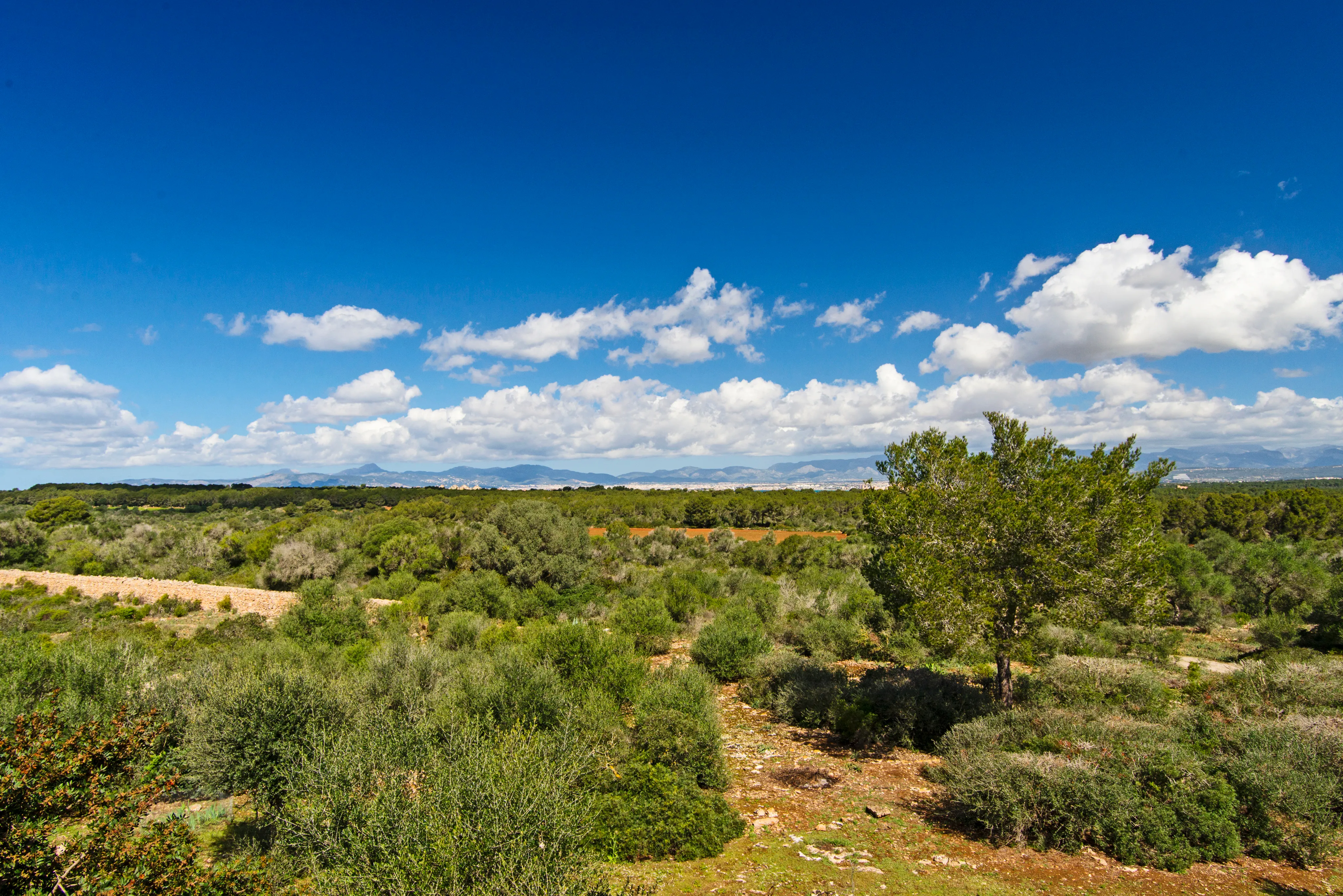 Building Plot in Llucmajor – Mediterranean Charm Meets Prime Location-5