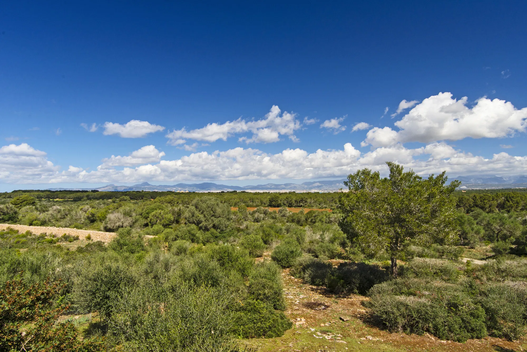 Bouwgrond in Llucmajor – Mediterrane charme en een toplocatie-5