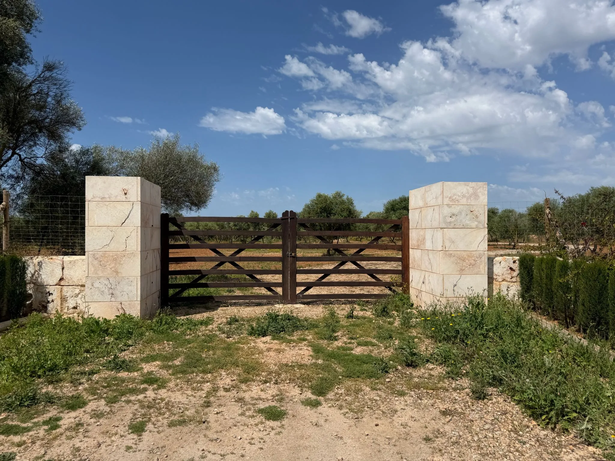 Building Plot in Llucmajor – Mediterranean Charm Meets Prime Location-4