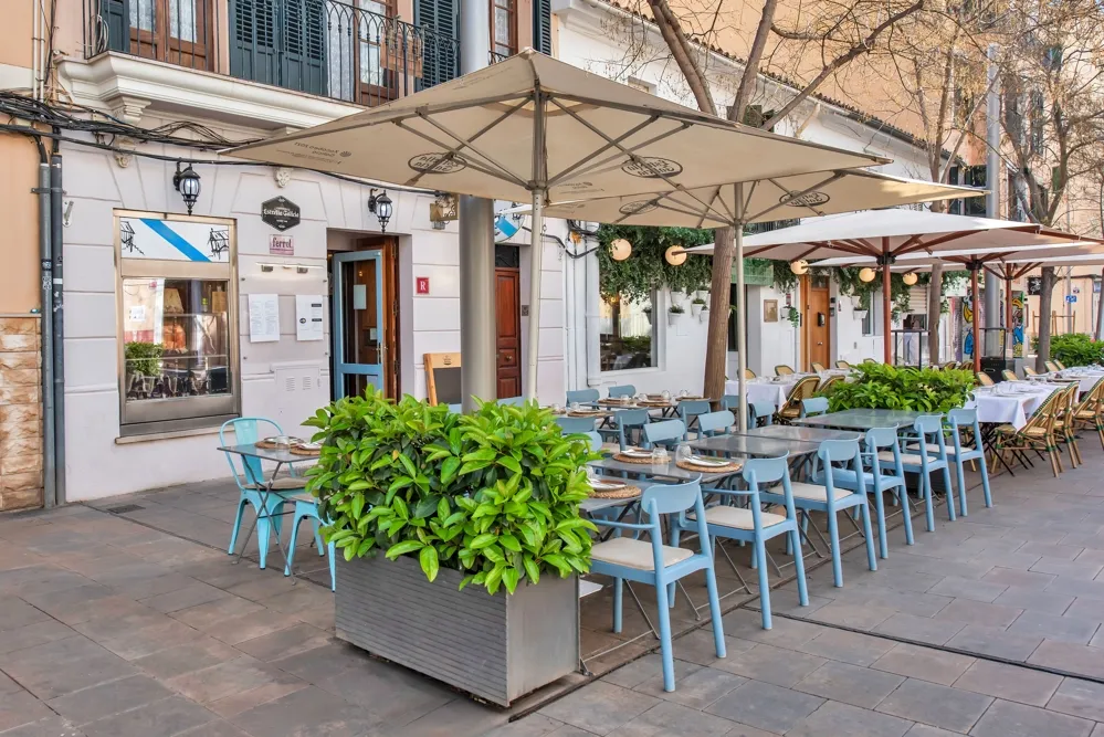 Gemma gastronomica a Palma: ristorante di successo in posizione privilegiata-1