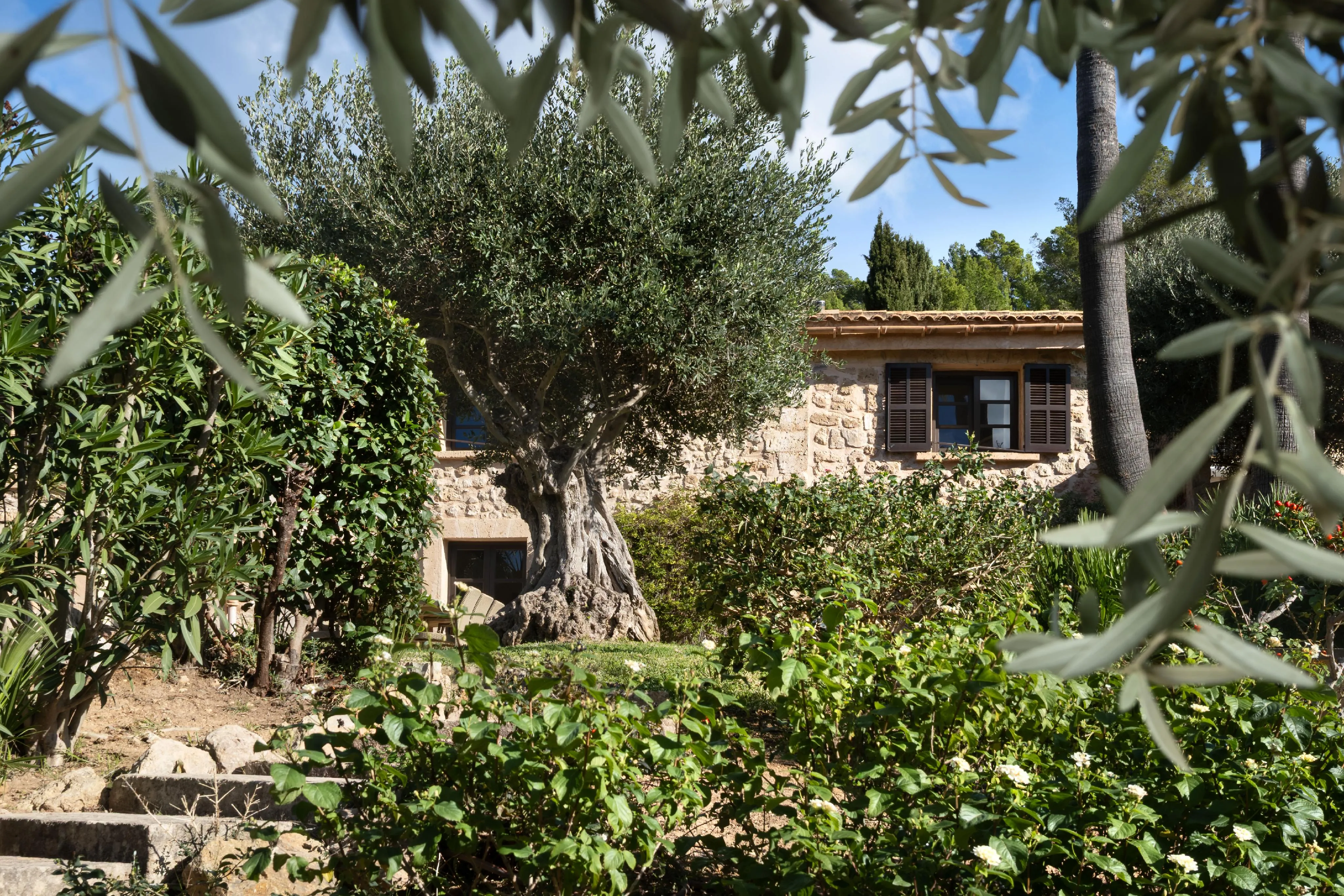 Charmante maison de ville avec jardin méditerranéen et vue sur la montagne-18