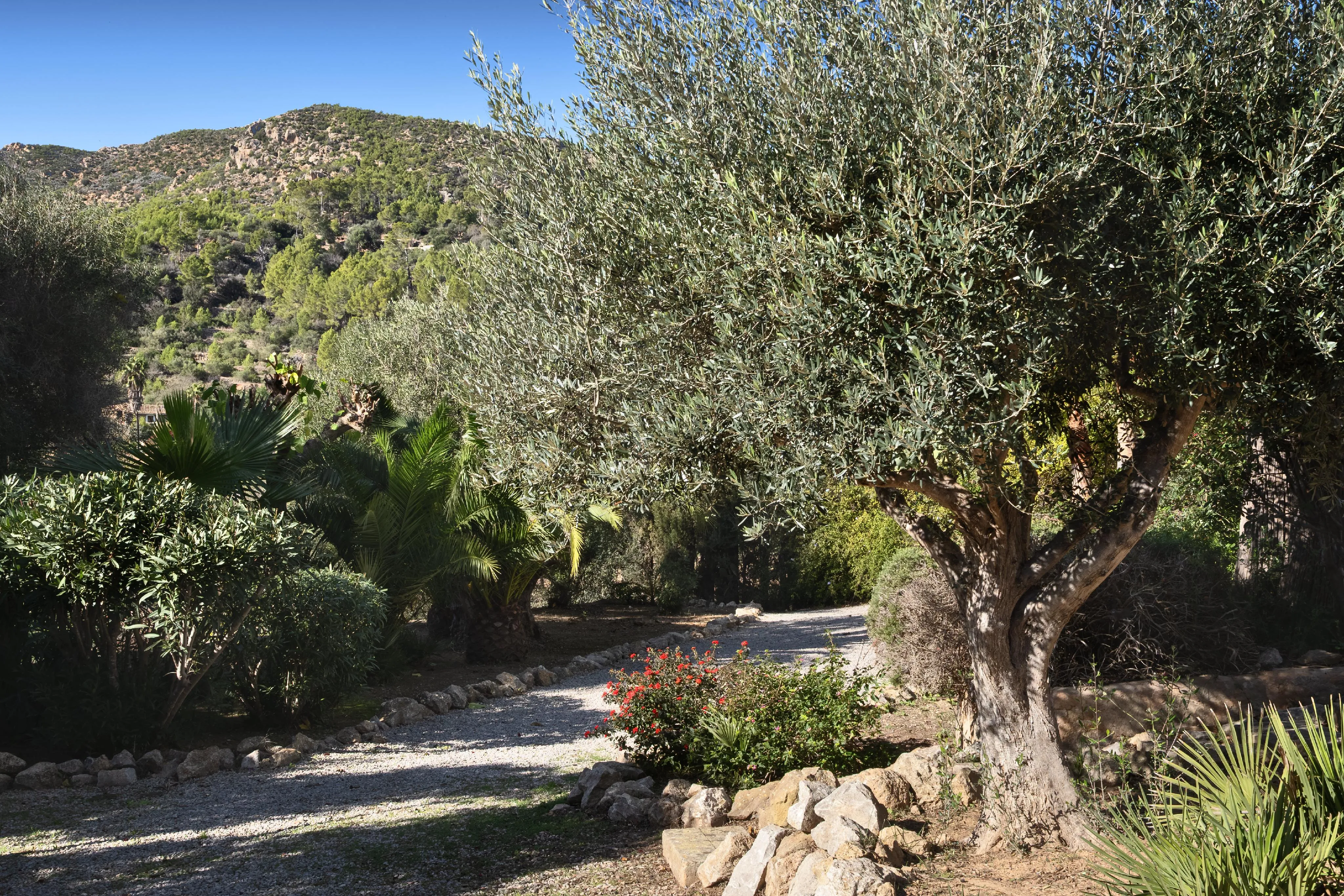 Charmante maison de ville avec jardin méditerranéen et vue sur la montagne-32