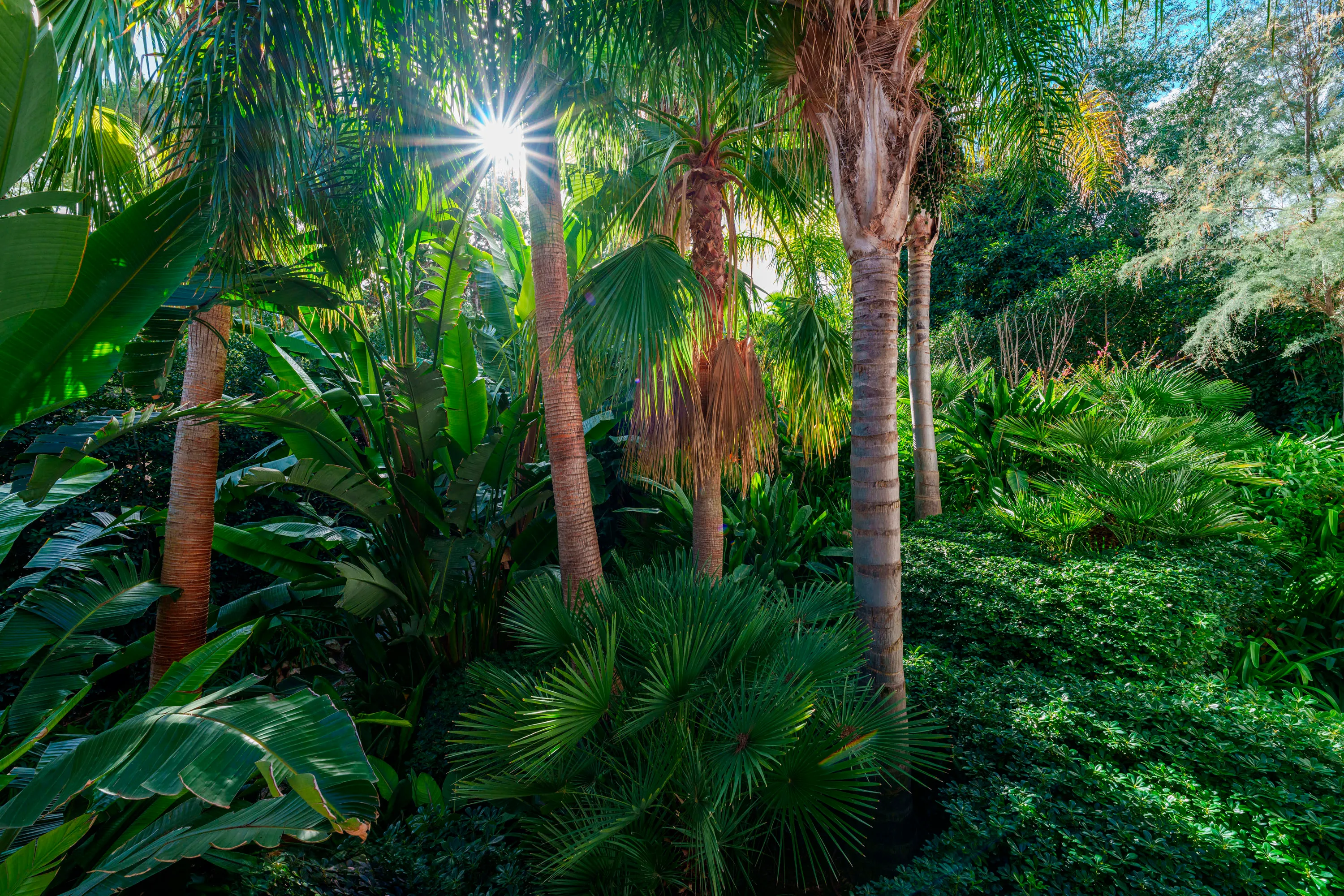 Moderne villa in Son Vida met veel privacy-19