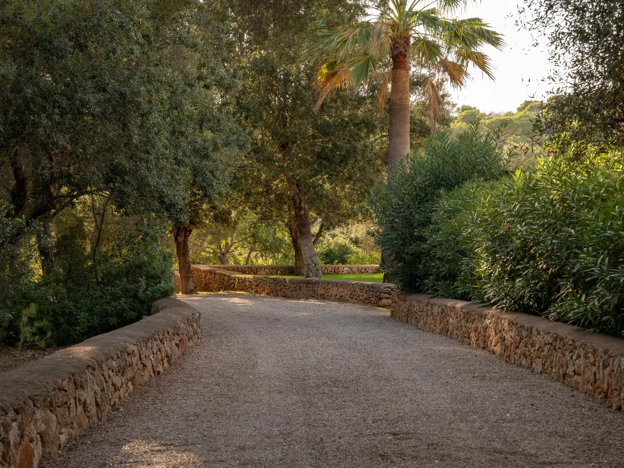 Finca exclusive en position élevée : intimité, tranquillité et élégance intemporelle-9