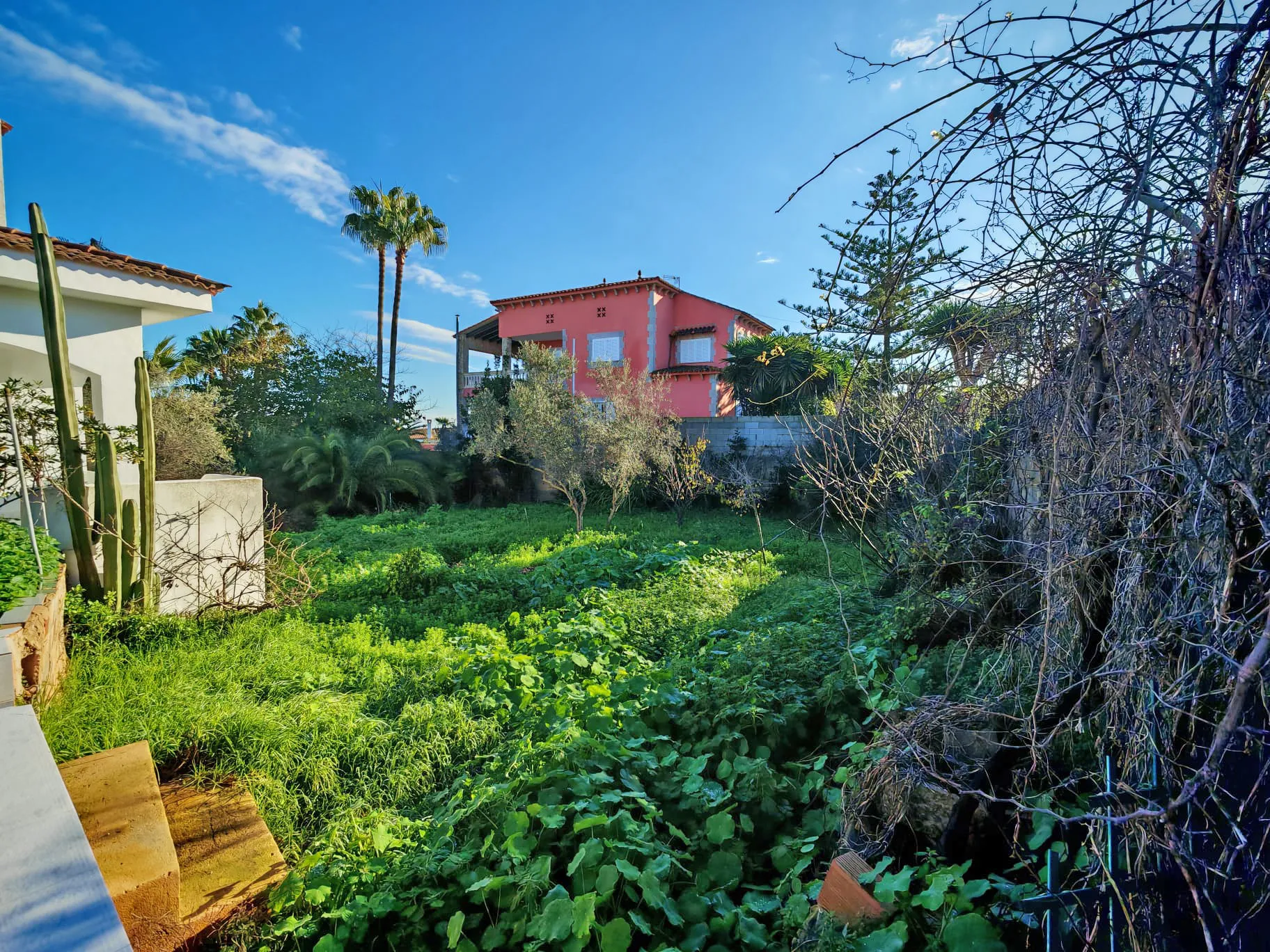 Bungalow met groot perceel-10