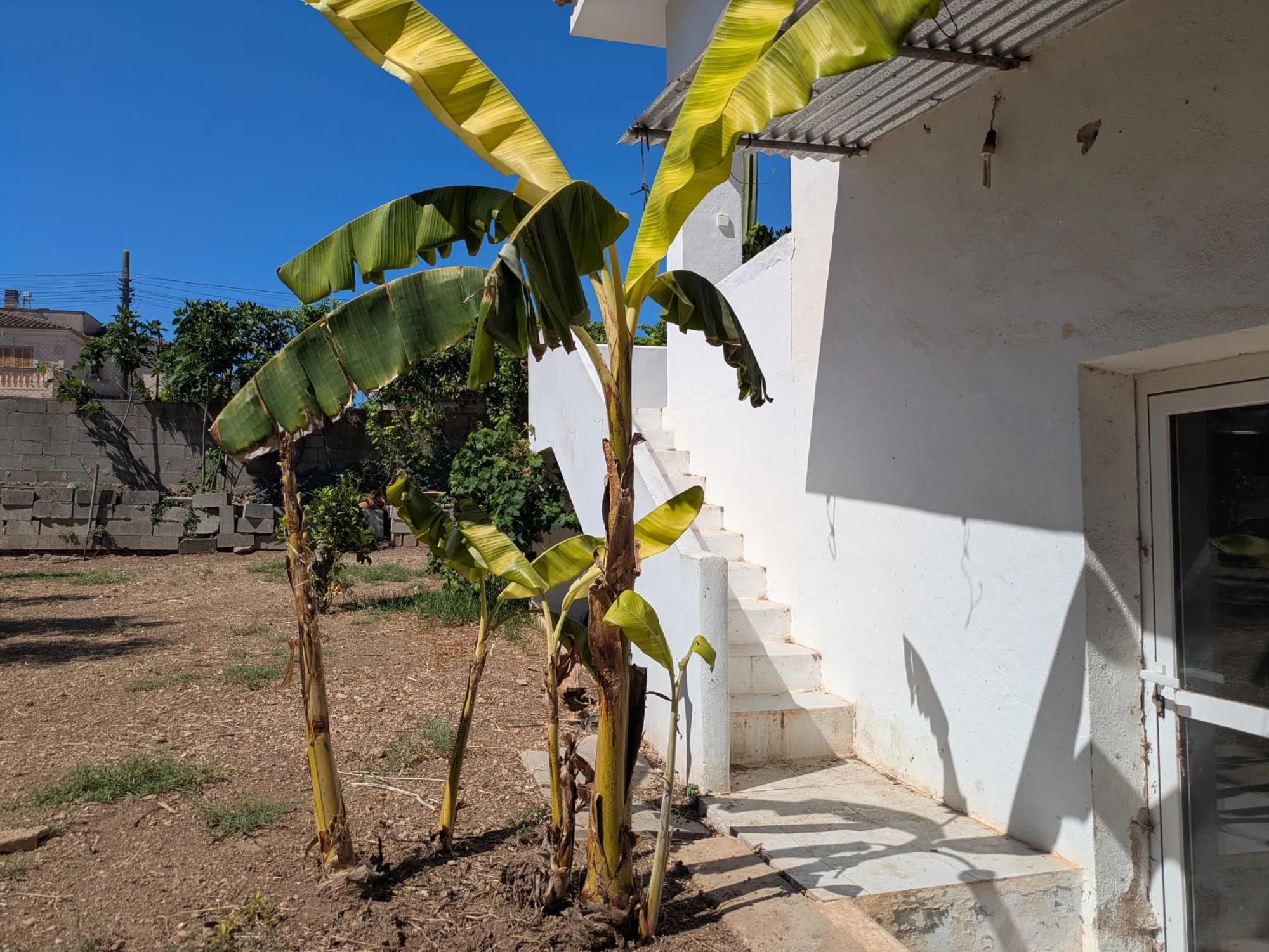 Bungalow med stor grund-15