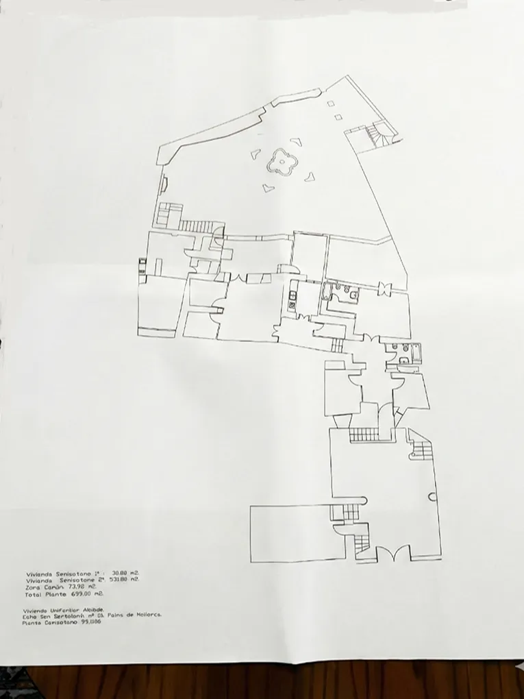 Проект реконструкции: Просторная квартира в величественном здании с фантастическим садом и потенциалом-19