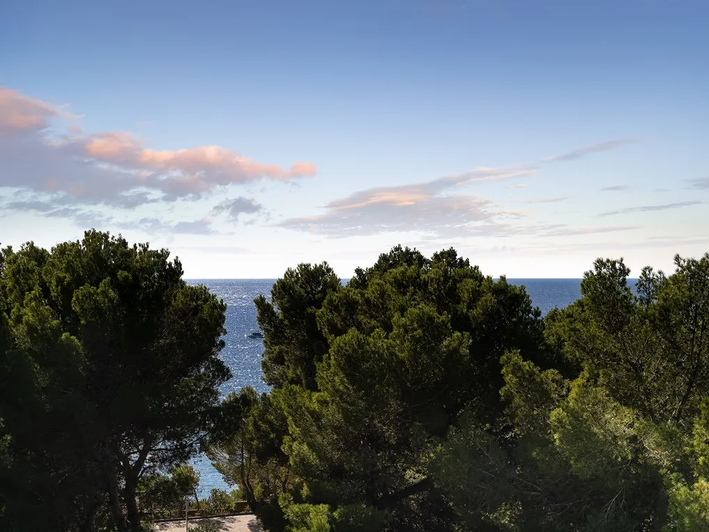 Magnifique penthouse à Nova Santa Ponsa-14