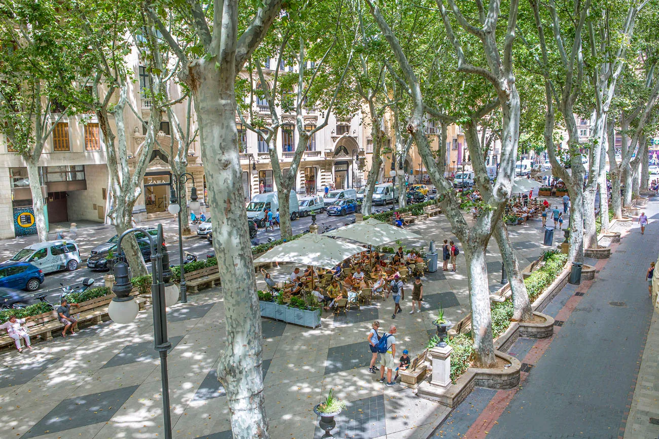 Preuós àtic dúplex amb ascensor i dues terrasses en el famós Borne-11