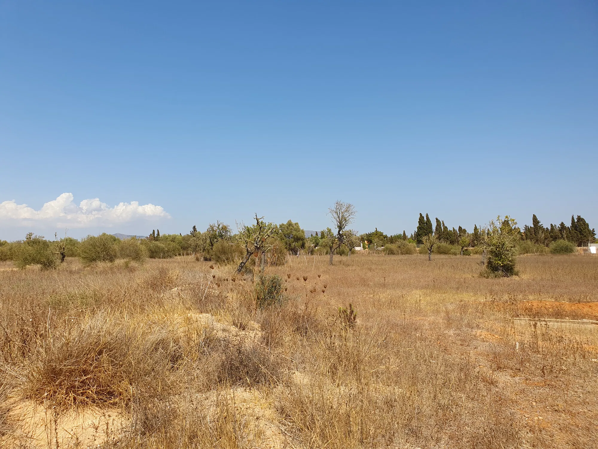 Rural building plot near Golf Son Antem-4