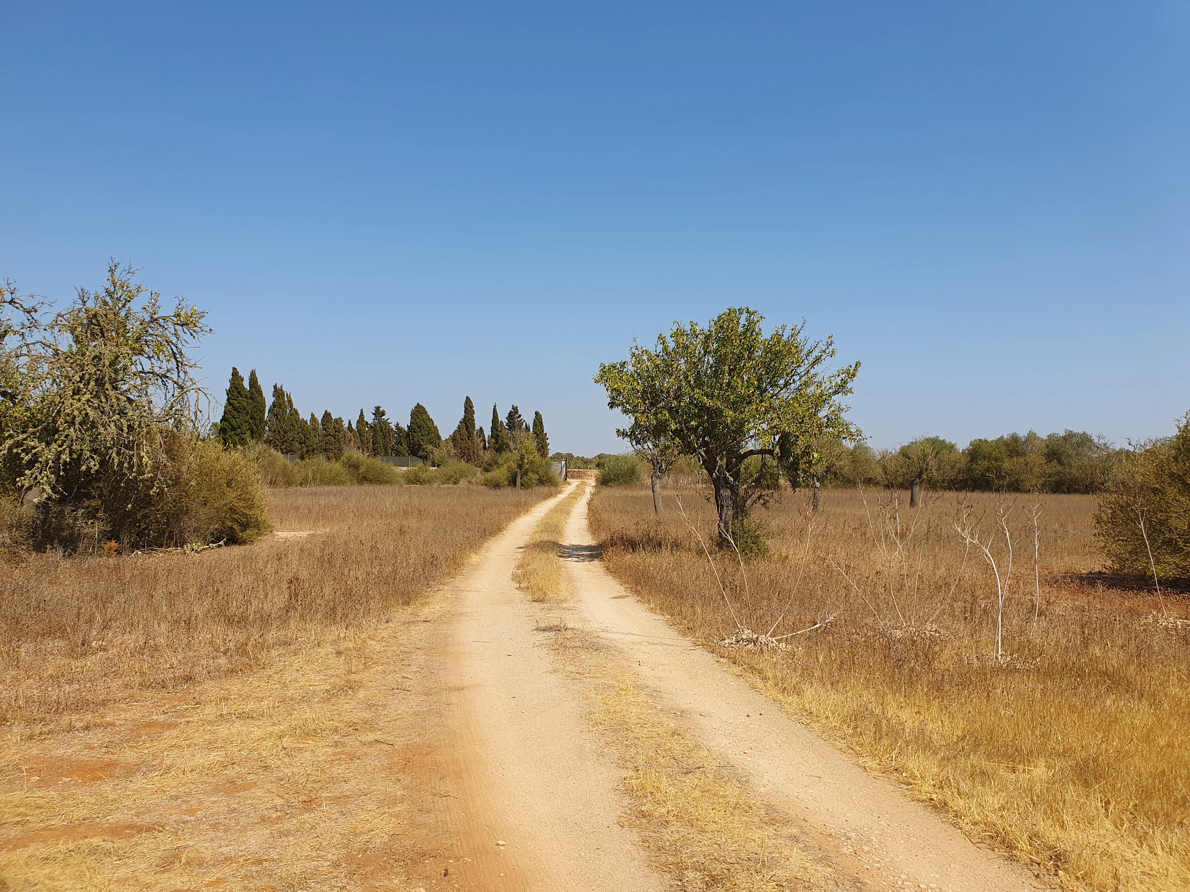 Parcel·la rústica prop del Golf Són Antem-2