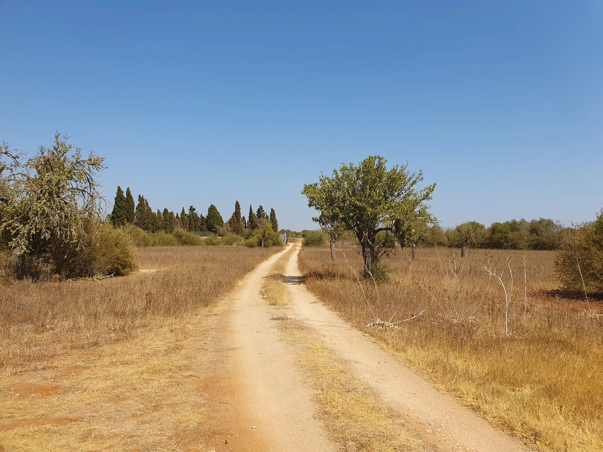 Rural building plot near Golf Son Antem-2