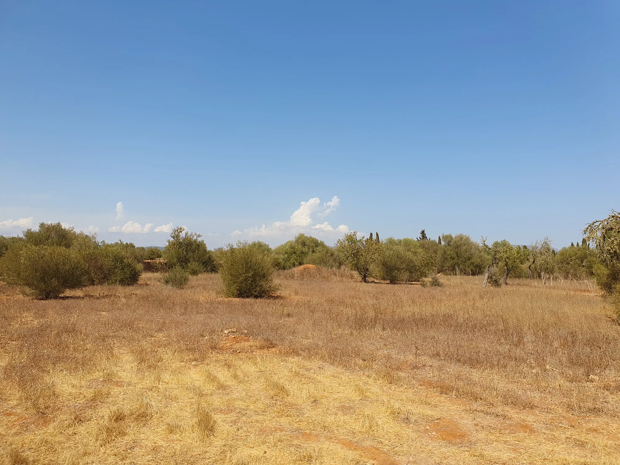 Rural building plot near Golf Son Antem-3