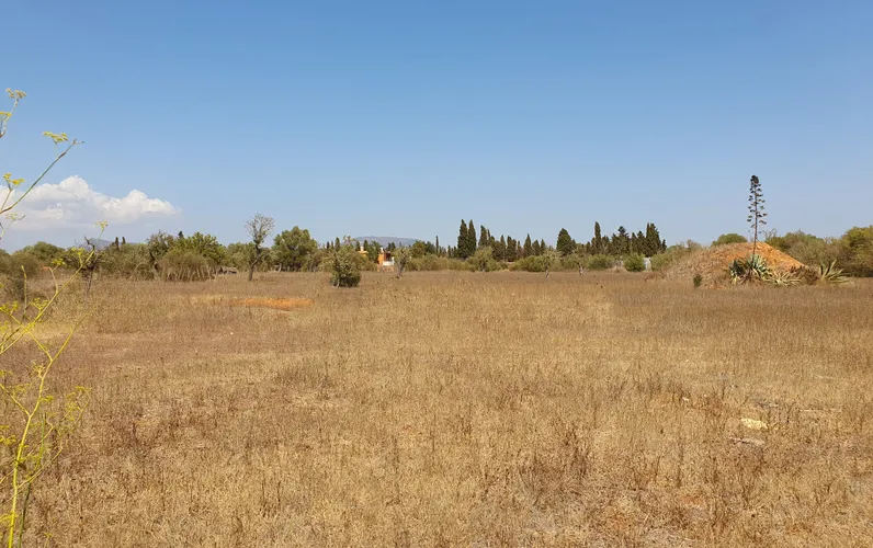 Terreno edificabile rurale vicino al Golf Son Antem