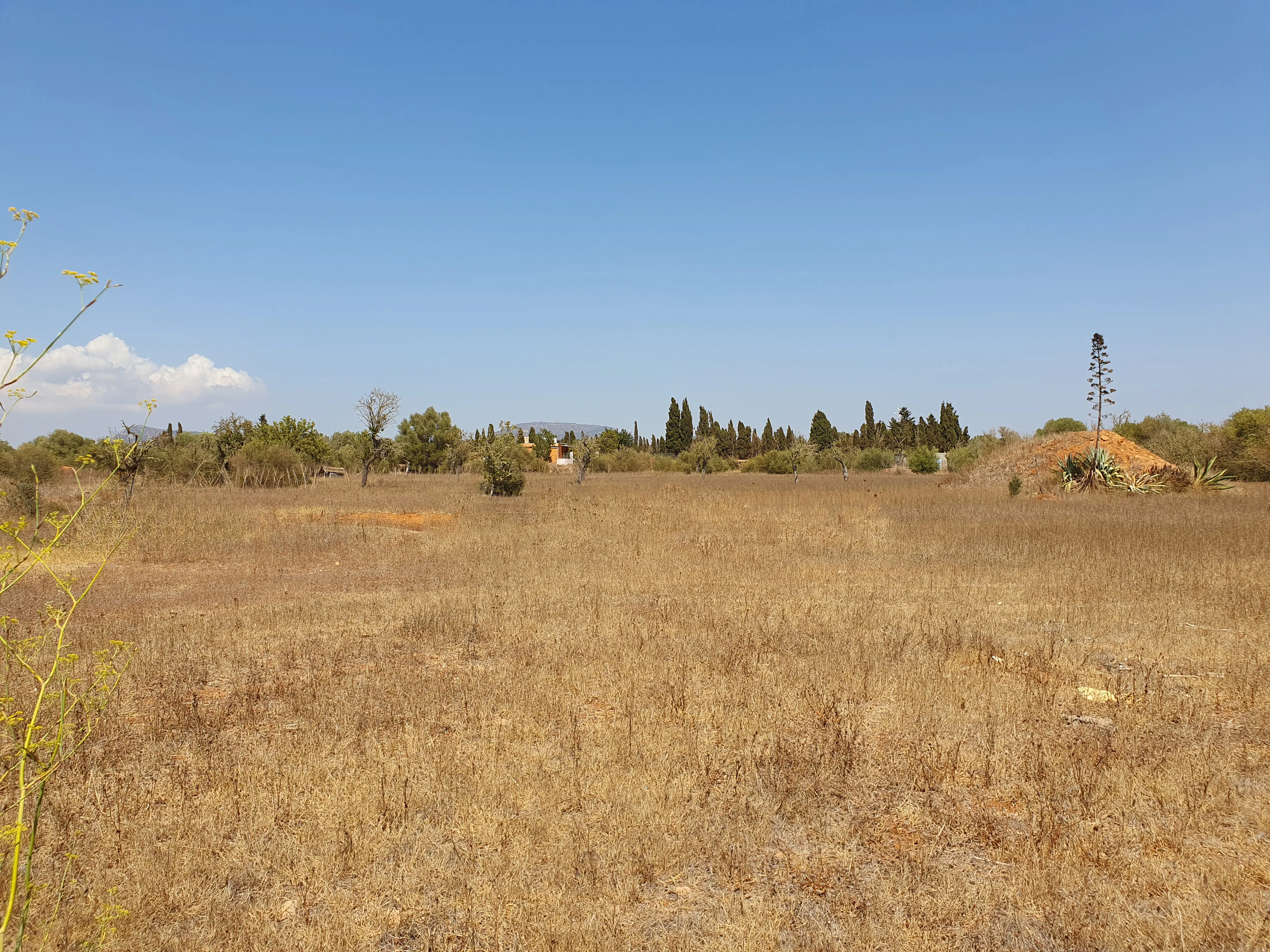 Parcel·la rústica prop del Golf Són Antem-1