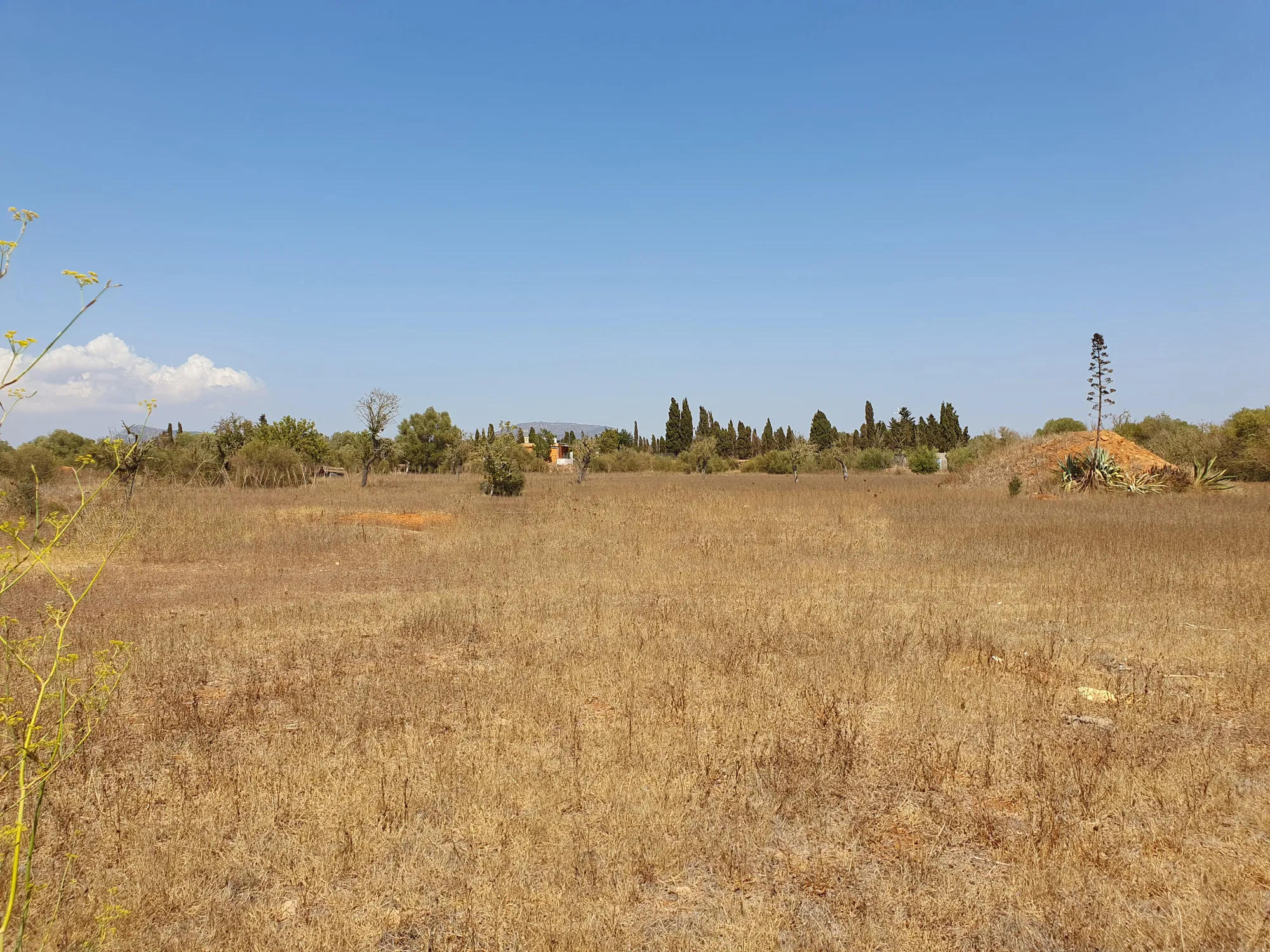 Rural building plot near Golf Son Antem-1