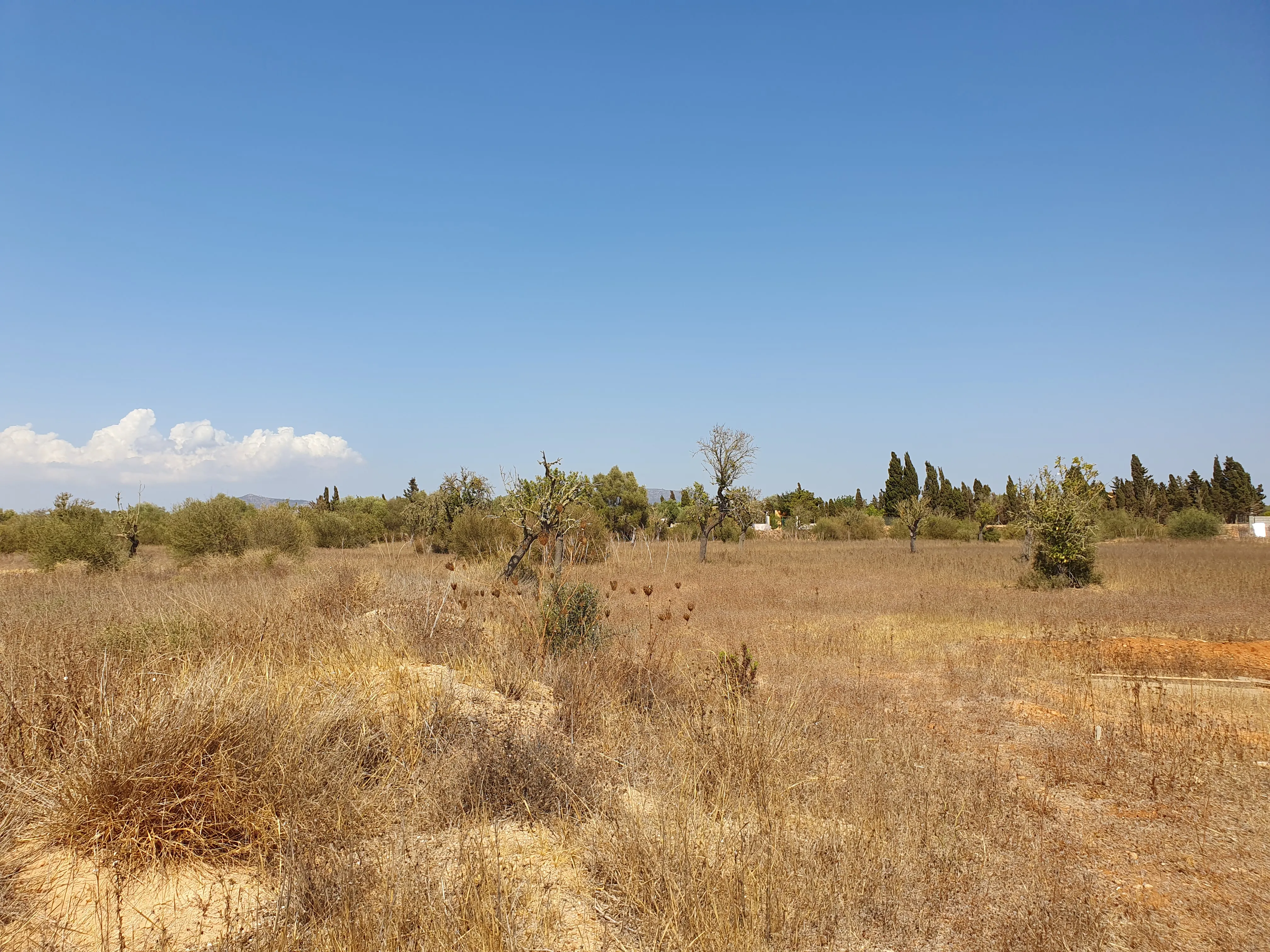 Rural building plot near Golf Son Antem-4