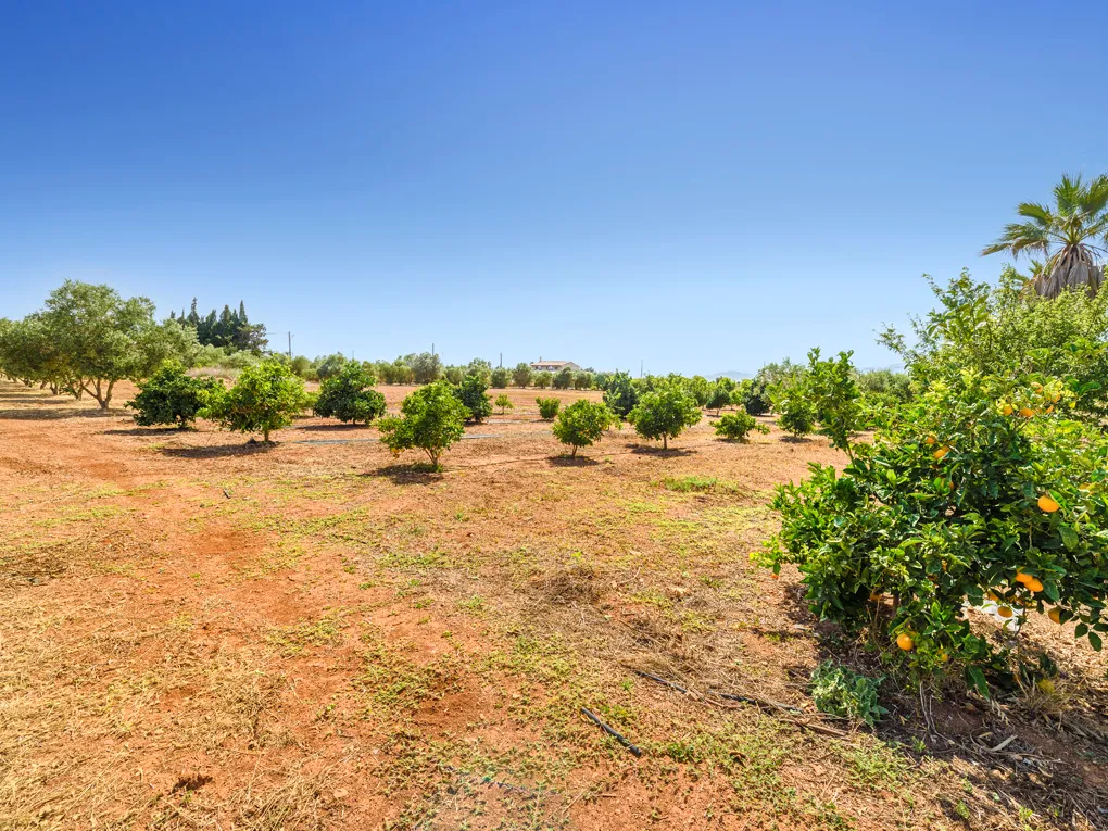 Landhaus mit Natursteinfassade und Privatsphäre in Muro-14