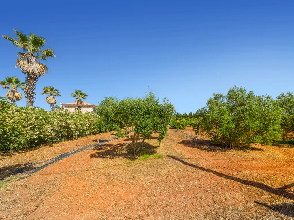 Landhaus mit Natursteinfassade und Privatsphäre in Muro-15