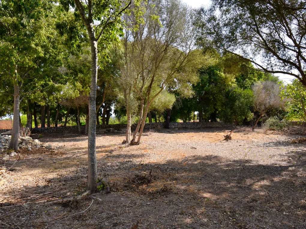 Magnifique manoir majorquin à Llubi-17