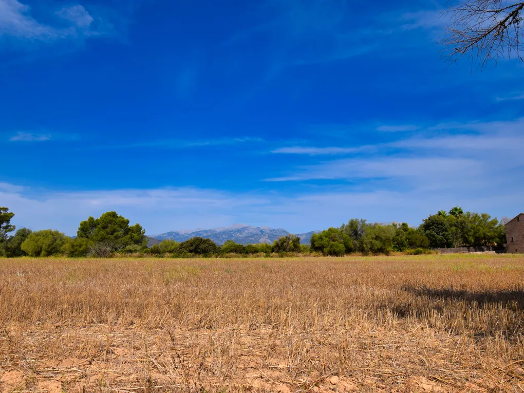 Magnifique manoir majorquin à Llubi-2