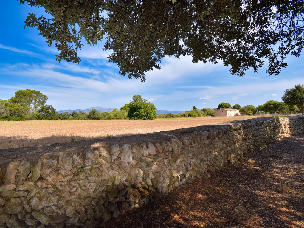 Magnifique manoir majorquin à Llubi-4
