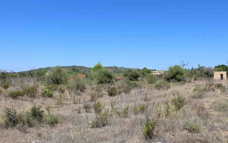 Grande terreno pianeggiante con buona vista vicino alla città di Llucmajor