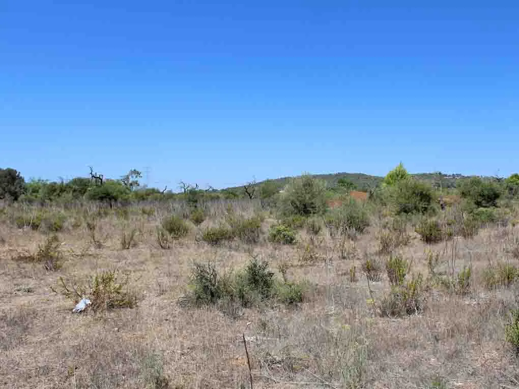 Duża płaska działka z dobrym widokiem w pobliżu miasta Llucmajor-2